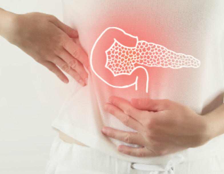 Поджелудочная железа