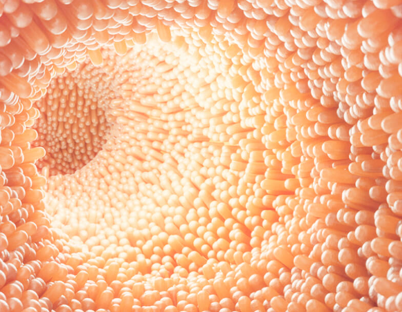 Вздутие живота: причины, симптомы и лечение газообразования